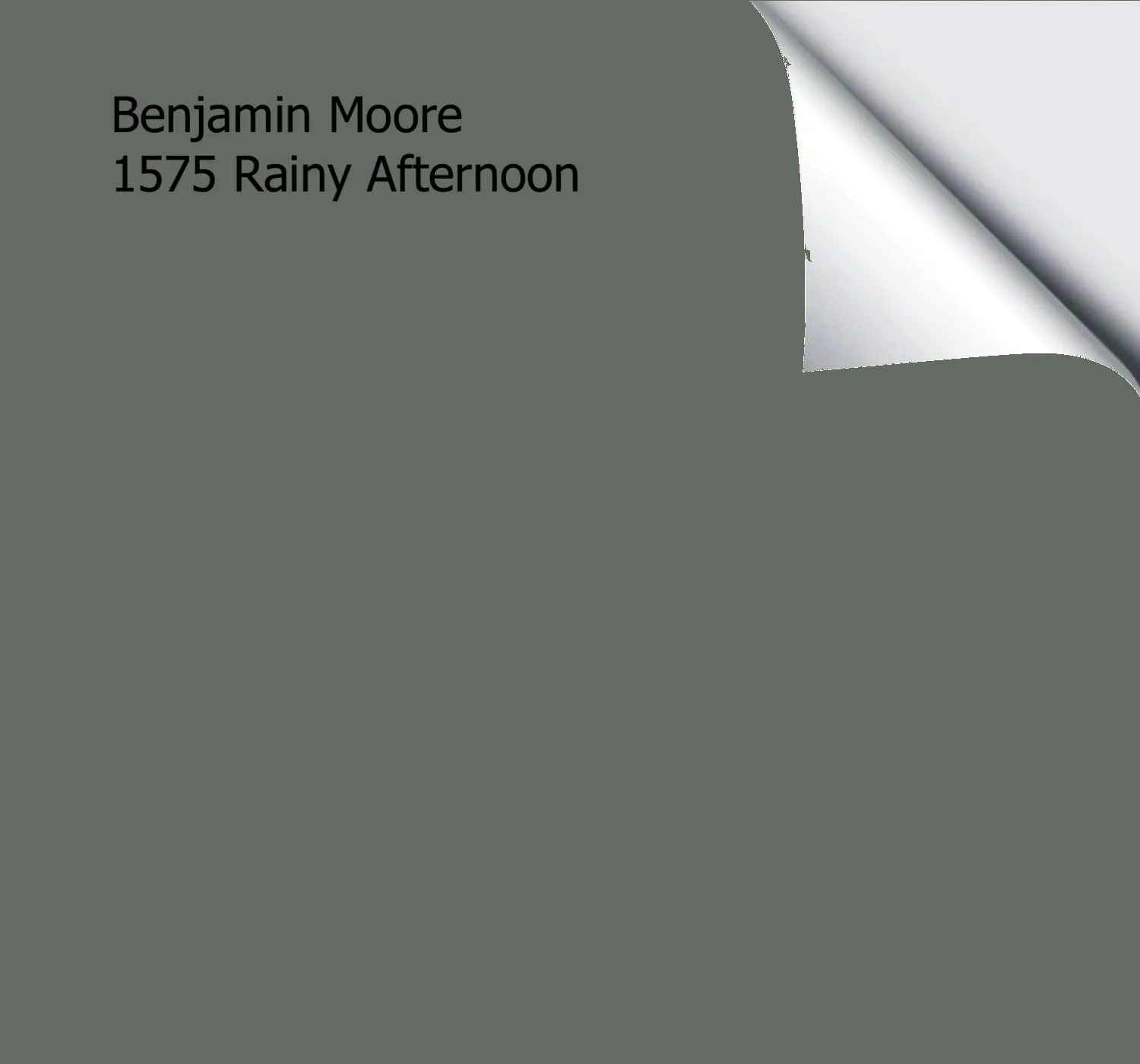 Benjamin Moore Rainy Afternoon
