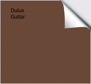 Dulux Guitar