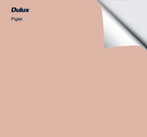 Dulux Piglet