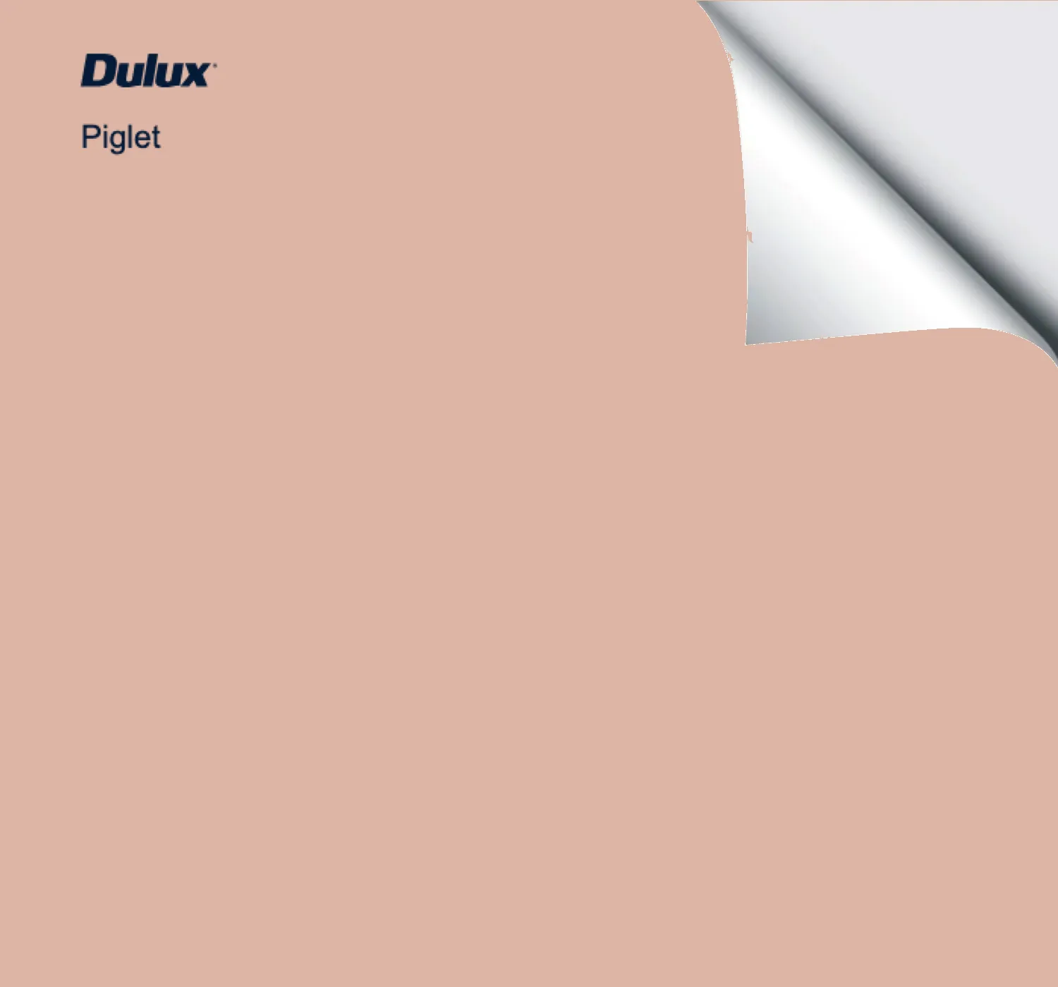 Dulux Piglet