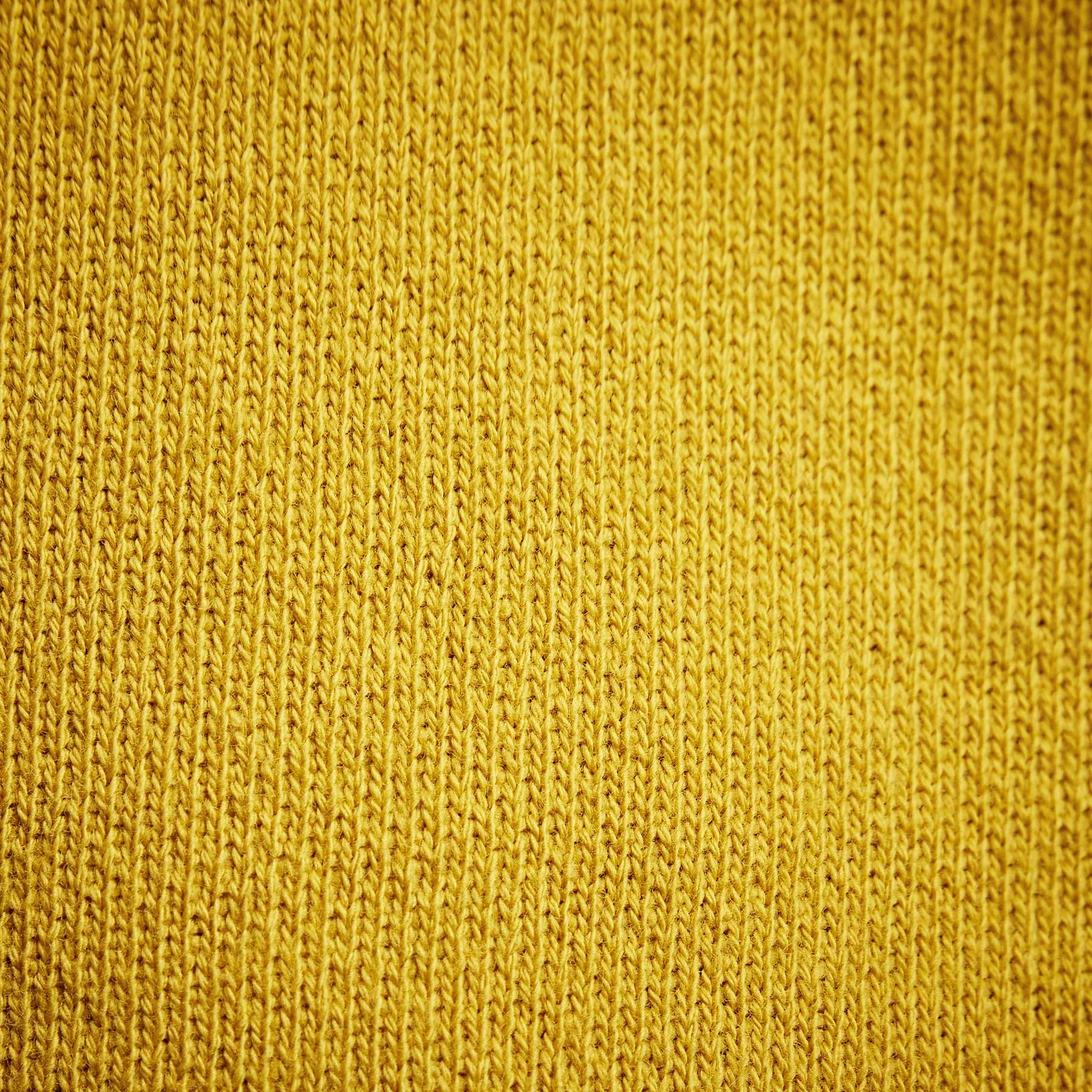 Graphic Pullover Hoodie - Crocus Yellow