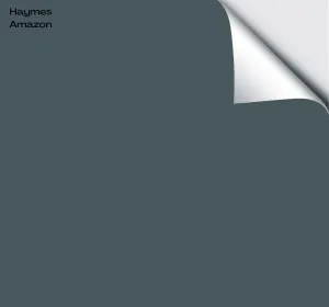 Haymes Amazon