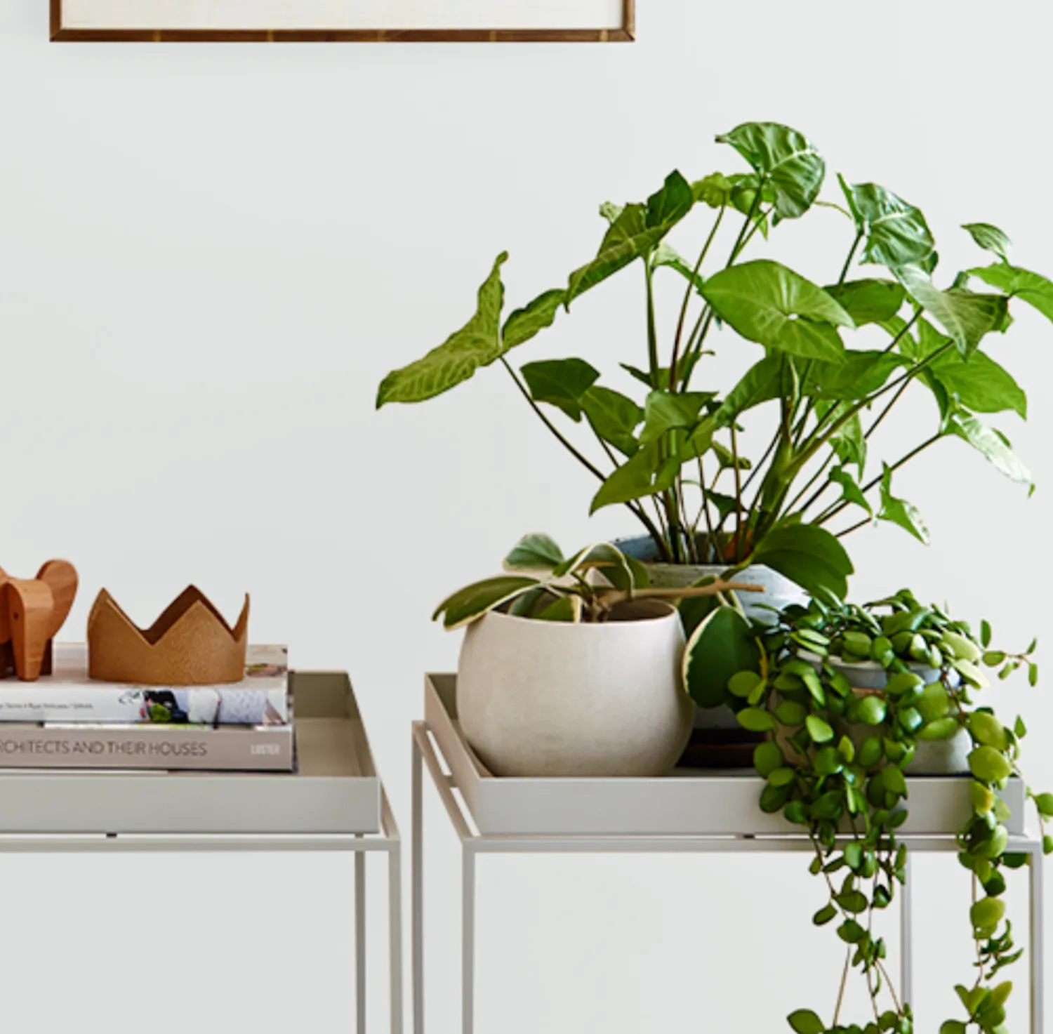 Haymes Artists Grey 1