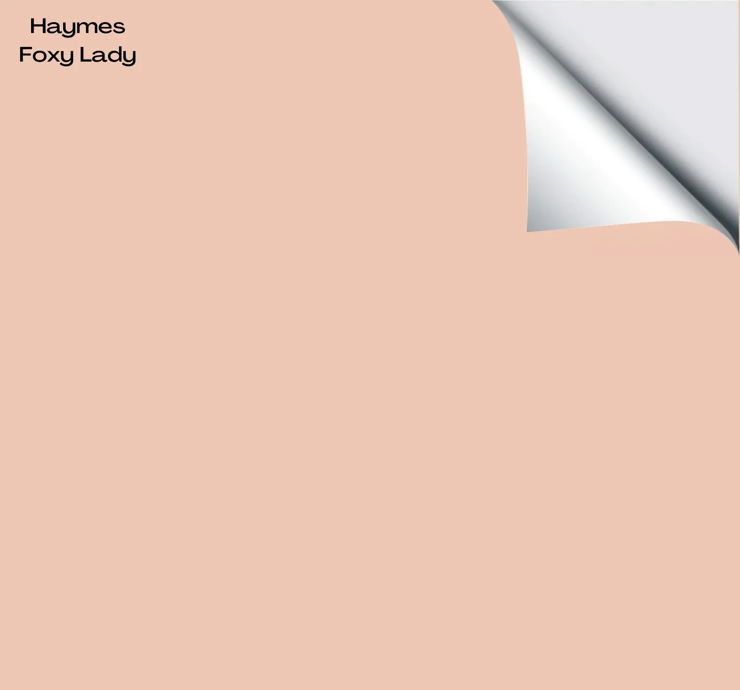 Haymes Foxy Lady