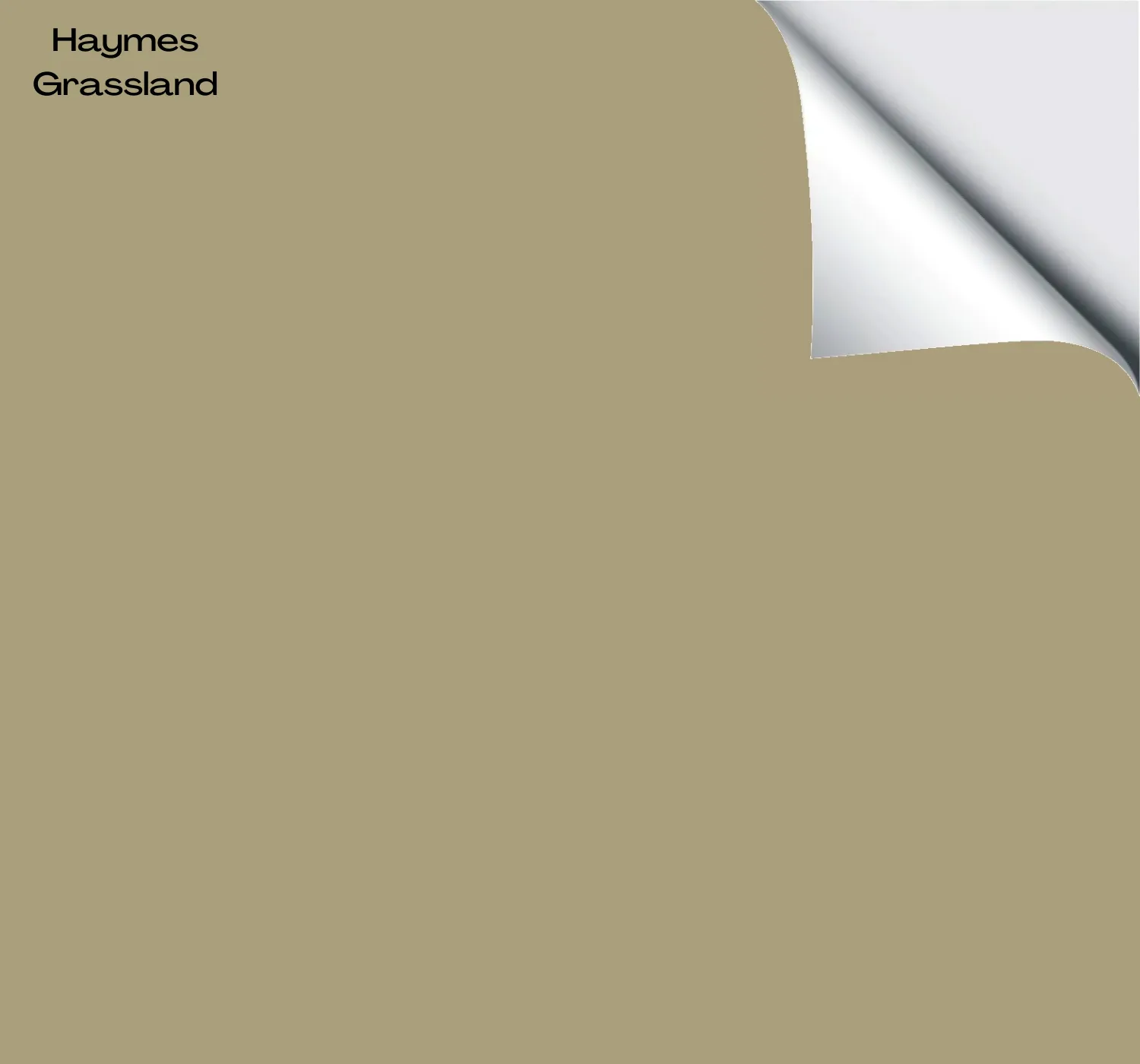 Haymes Grassland