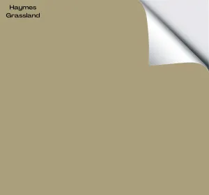 Haymes Grassland