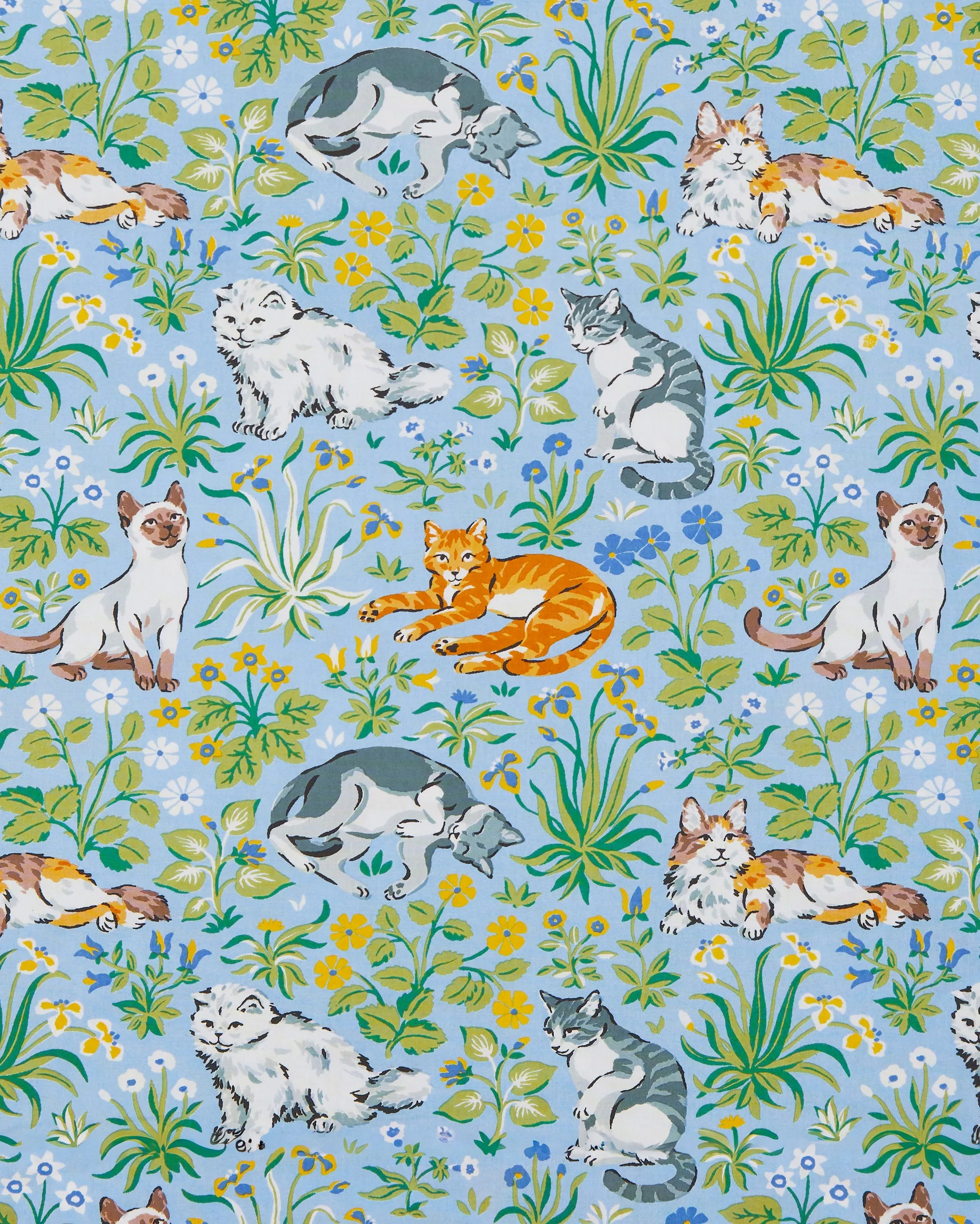 Must Love Cats - Tall Long PJ Set - Cornflower