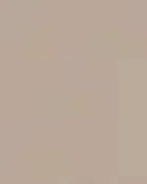 PB&J Outline Ladies Flat Knit Viscose Mock Neck Sweater - Stone