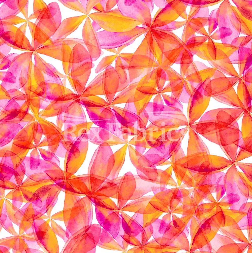 Plumeria