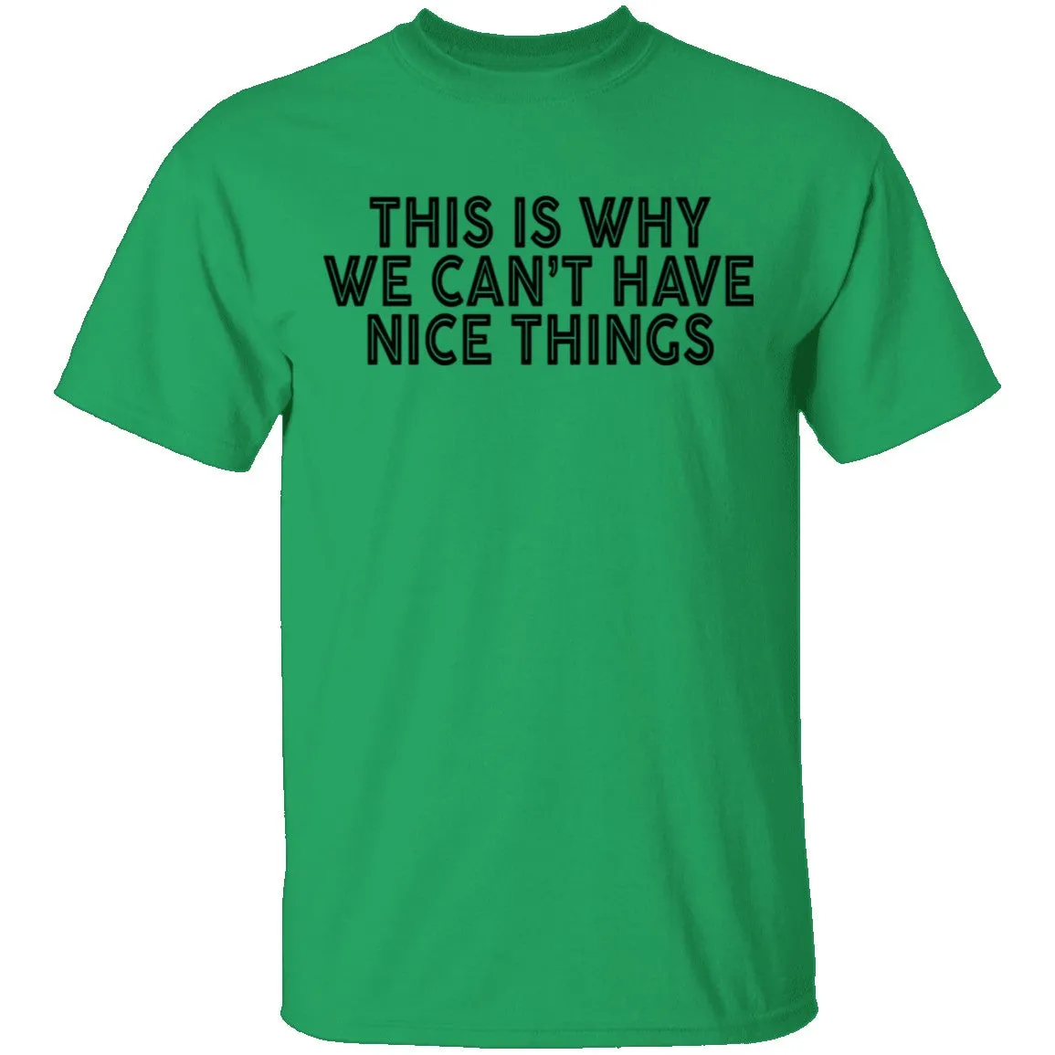 This Is Why We Can't Have Nice Things T-Shirt