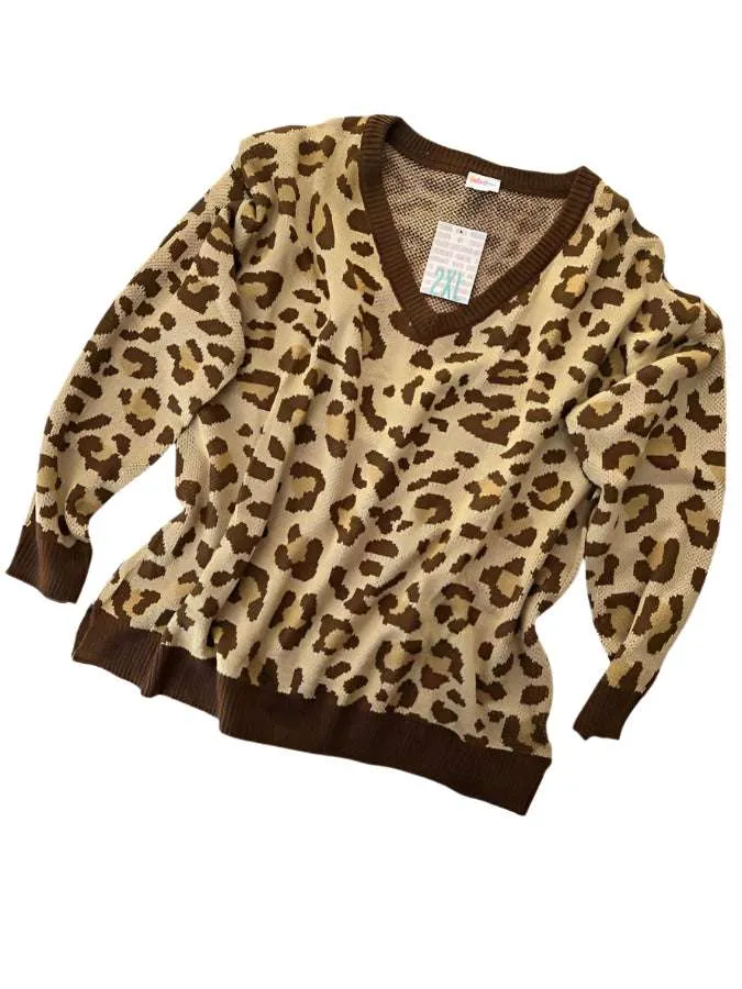 Torrie V-Neck Sweater
