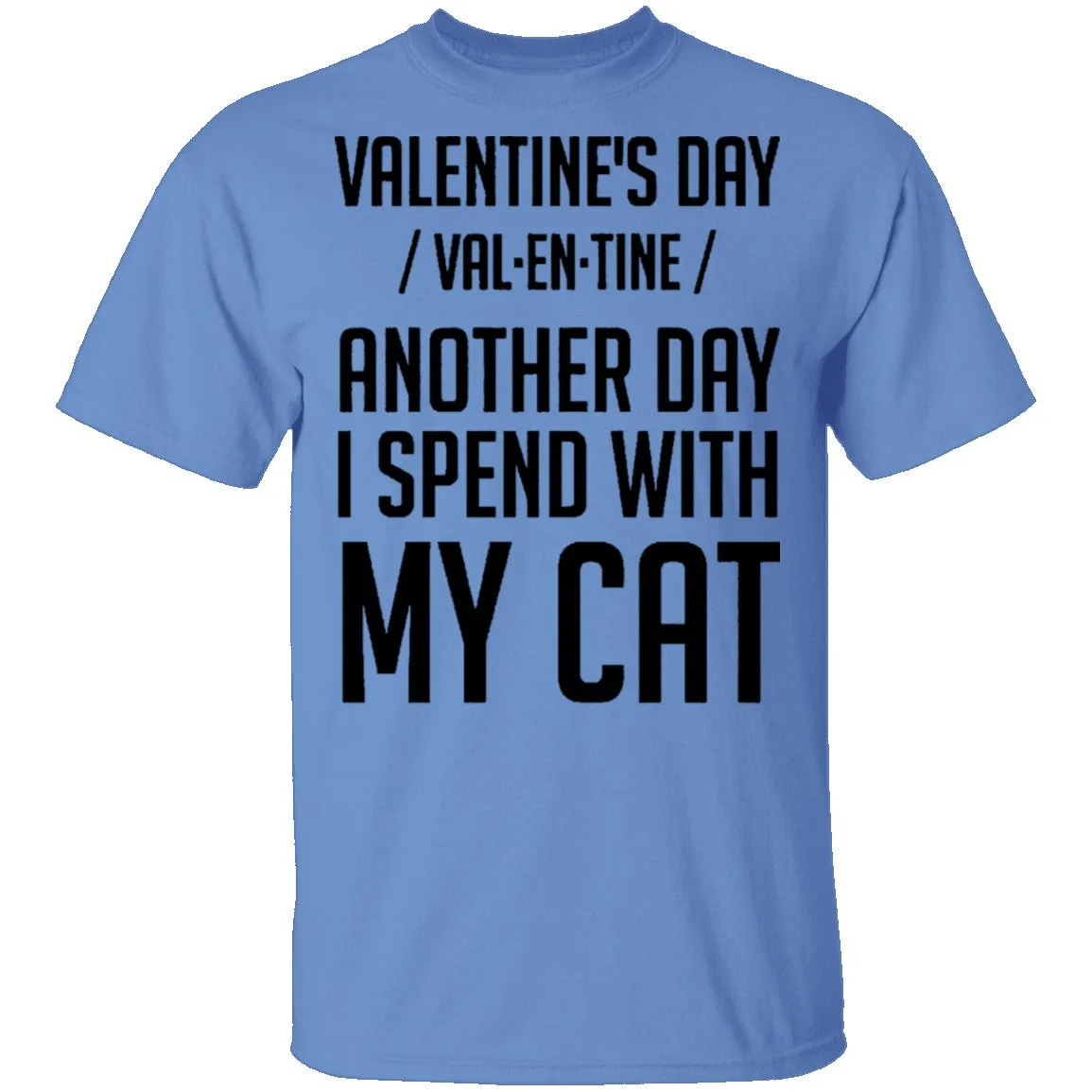 Valentine's Day - Another Day Spent With My Cat T-Shirt