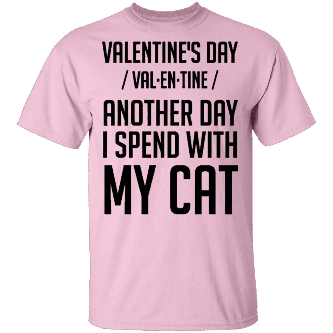 Valentine's Day - Another Day Spent With My Cat T-Shirt