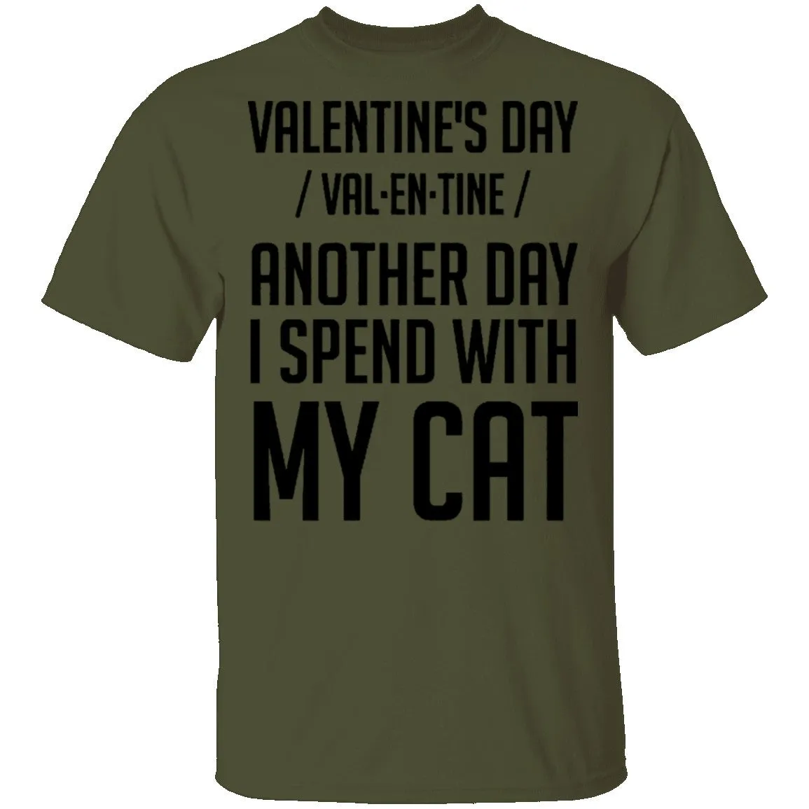 Valentine's Day - Another Day Spent With My Cat T-Shirt