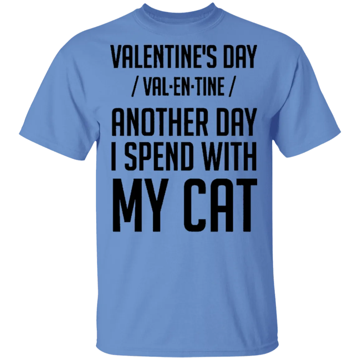 Valentine's Day - Another Day Spent With My Cat T-Shirt