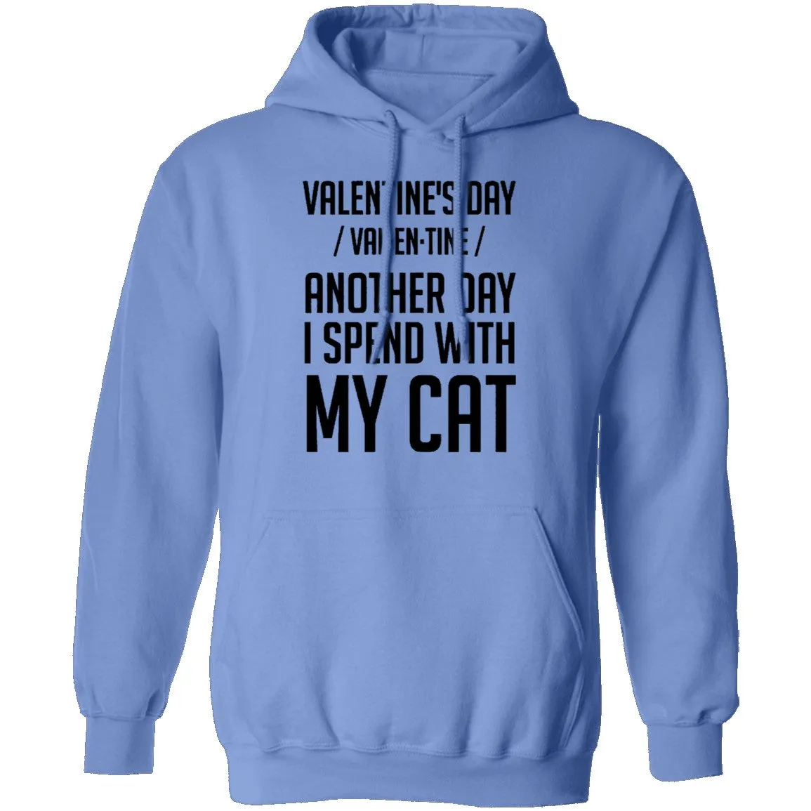 Valentine's Day - Another Day Spent With My Cat T-Shirt