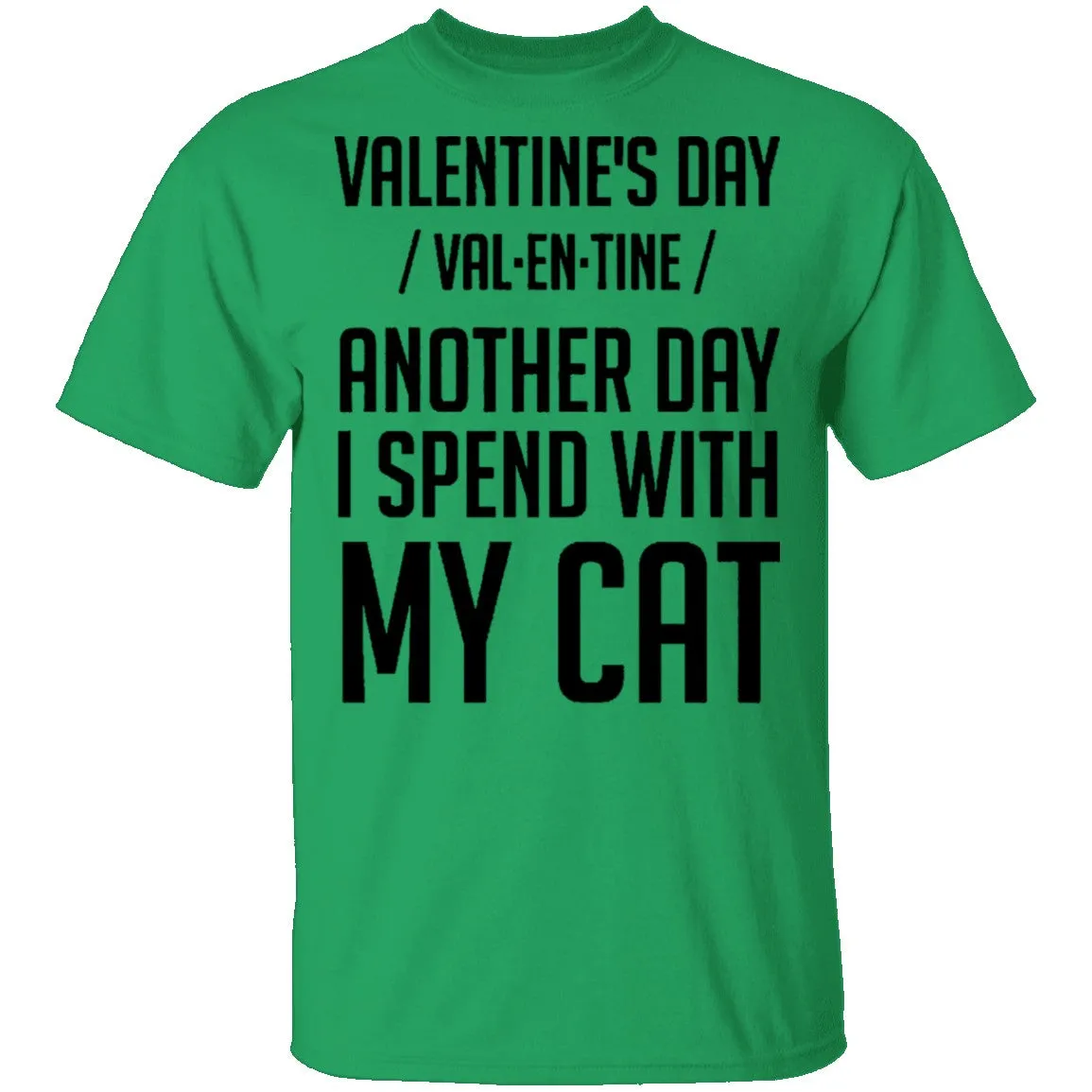Valentine's Day - Another Day Spent With My Cat T-Shirt