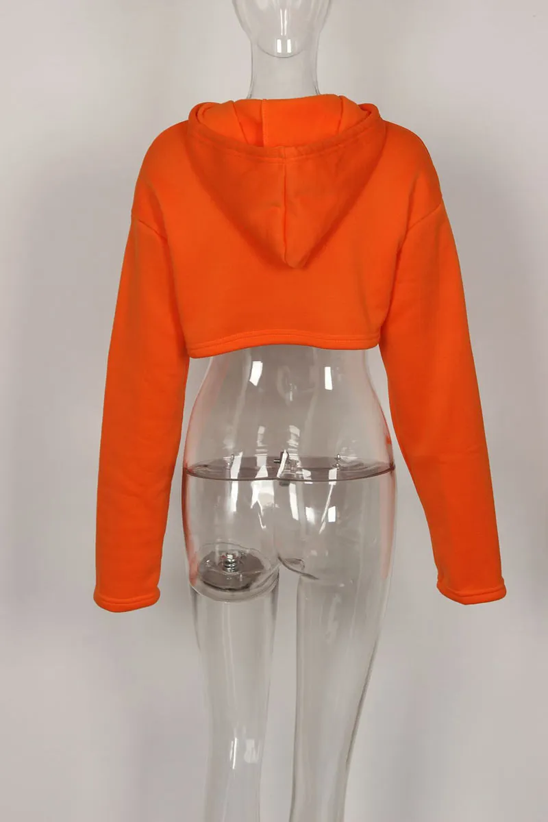 WH0392 Hoodie Crop Sweatshirt
